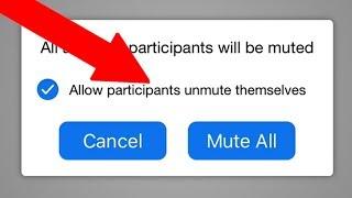 How to Mute and Unmute Other Participants and Yourself on Zoom Cloud Meetings