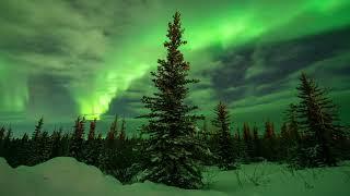 Arctic Auroras - 8K Ultra HD Northern Lights Timelapse Compilation from Fort Yukon Alaska