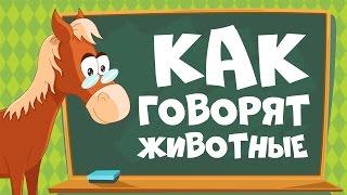 КАК ГОВОРЯТ ЖИВОТНЫЕ? Звуки животных для детей  Учим животных для самых маленьких