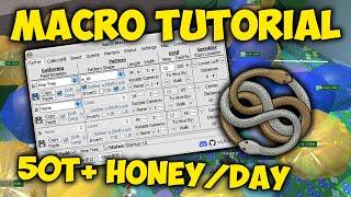 How to Macro in Bee Swarm Simulator FULL TUTORIAL