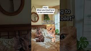 CAT MEMES When your boyfriend is too comfortable #catmemes #relatable #relationship