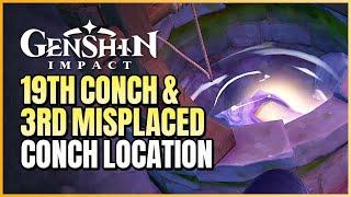 19th Conch Location & How To Get  Misplaced Conch 3 In Twinning Isle  Genshin Impact Version 2.8