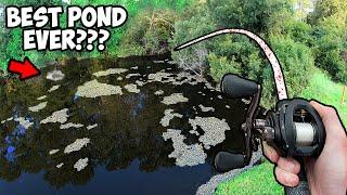 Bass Fishing the MOST FAMOUS POND ON THE INTERNET EPIC POND BASS FISHING