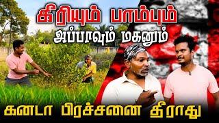 அப்பாவும் மகனும் கீரியும் பாம்பும்  Srilankan tamil comedy  Akkuddiyum pichumaniyum #jaffna