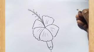 how to draw hibiscus flowers drawing easy step by step@aaravdrawingcreative1112