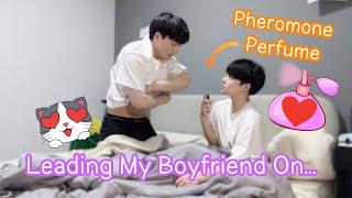 Leading My Boyfriend On With Pheromone PerfumeSeduce Prank *He try to do it* Gay Couple BL