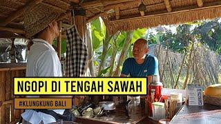 Ngopi di Tengah Sawah ala Kopi Pengangon Bali. Kedai Kopi di Desa Buka Sampai Jam 12 Malam.