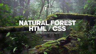 Создание красивого сайта с 3D эффектом Parallax HTML + CSS