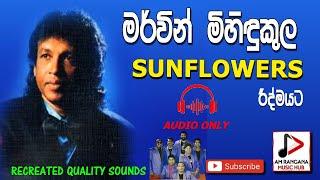 SUNFLOWER WITH MERVIN MIHINDUKULA LIVE SHOW AUDIO පැරණි සන්ෆ්ලවර්ස් RECREATED QUALITY SOUNDS