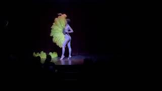 My Only Fans act Sucre dOrge burlesque fan dance