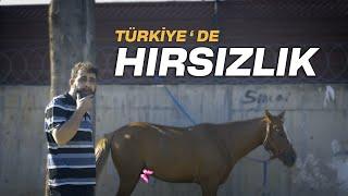 TÜRKİYEDE HIRSIZLIK