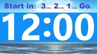 12 Minute Countdown Timer -Beep & Time Remaining at Each Minute * NO ADS DURING TIMER -No Music