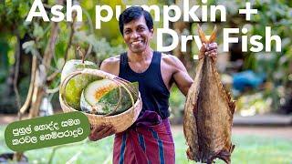 Ash Pumpkin Curry with Spicy Dry Fish Fry Recipe  Wax Gourd Milk Curry Cooking in the Village