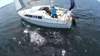 Aerial Video of Hunter 26 water ballast sailboat sailing in Saint Andrews Bay Florida