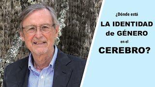 ¿Dónde está la IDENTIDAD DE GÉNERO en el cerebro?