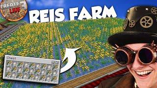 NEUE Reis-Farm + PERFEKTE Fabrik - CREATE LIVE 3 - #41