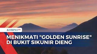 Intip Keindahan Golden Sunrise di Bukit Sikunir Dieng Bisa Lihat 7 Gunung dari Atas Bukit