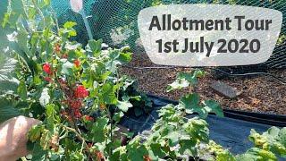 Allotment Tour 1st July 2020