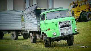 IFA W50  L60  K700 Maissilage Häckseln Budissa AG Teil 1