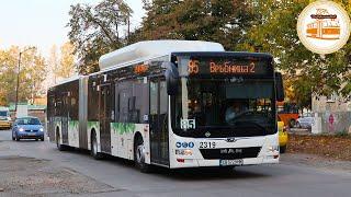 CNG Buses in Sofia Ep.2  MAN A23 Lions City G NG313 CNG 2019