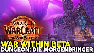 Das erste Mal The War Within Beta So spielt sich der Dungeon Morgenbringer als Paladin Tank