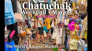 4K  Chatuchak Weekend Market BANGKOK  The Worlds Largest Market  2024