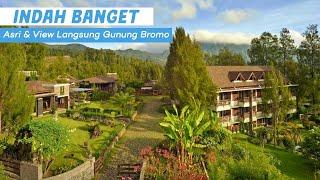 10 Rekomendasi HOTEL DI PROBOLINGGO TERBAIK 2023  Dekat Wisata Gunung Bromo & Punya View Bagus