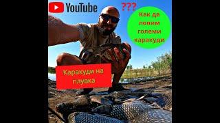 Как да ловим Каракуди на плувка и царевица в затворени водоеми - I част