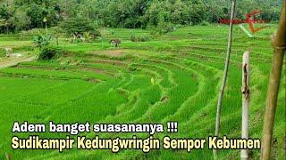 ADEM BANGET  Suasana Kampung Sudikampir Kedungwringin SemporPedesaan Kebumen Jawa Tengah