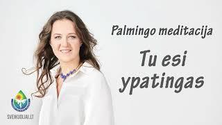 Palmingo meditacija - Tu esi ypatingas