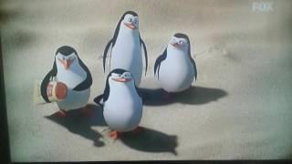 Madagascar en Cine fox