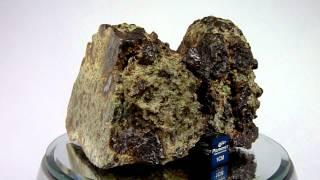 Meteorite NWA 8251 Achondrite Lodranite Breccia