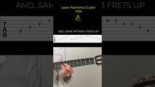 DIMINISHED EXERCISE-Learn Flamenco Guitar App