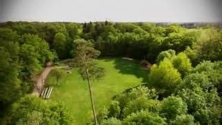 Forest Fly DJI Inspire1 Germany