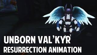 Unborn Valkyr Resurrection Animation - World of Warcraft Battle Pet