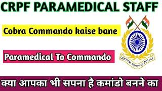 crpf paramedical staff se cobra Commando kaise bane  crpf paramedical staff to cobra commando