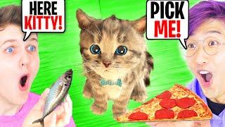 LANKYBOX ADOPTS A KITTEN? *LITTLE KITTEN ADVENTURES* PET CARE GAME