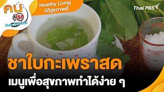 ชาใบกะเพราสด  Healthy Living วิถีสุขภาพดี  คนสู้โรค