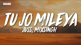 Tu Jo Mileya - Juss MixSingh LyricsEnglish Meaning