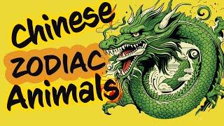 Chinese Zodiac Animals  Happy Lunar New Year 2024 YEAR OF THE DRAGON