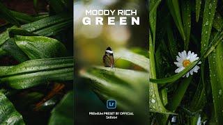 Moody Rich Green Preset - Trending Lightroom Presets Free Download  Moody Dark Preset
