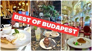 Cruising the Danube in 2024? These 3 Iconic Cafés in Budapest are a MUST visit