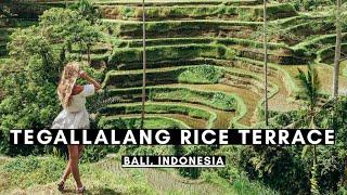 TEGALLALANG RICE TERRACE BALI  BALI VLOG #046