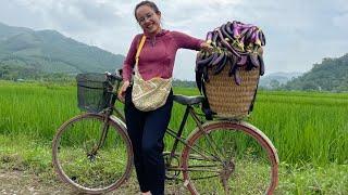 Buy a bicycle to make going to the market less strenuous stack vegetables and build a farm