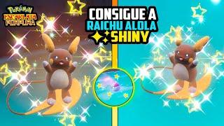 Donde Conseguir a RAICHU ALOLA SHINY Fácil y rapido Pokemon Escarlata y Purpura