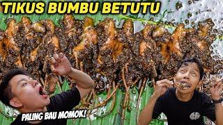 TIKUS BETUTU LEBIH ENAK DARI AYAM BETUTU KENYAL EKORNYA PALING ENAK.