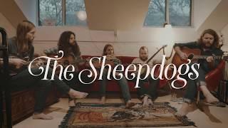 The Sheepdogs - Old man Neil Young Cover