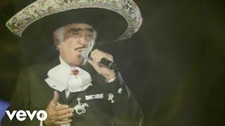 Vicente Fernández - Amar y Vivir Audio