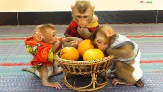 Look So Amazing Three Cutest Babe Sit Quietly Wait To Eat Oranges Three Wait Mom Providing Fruits