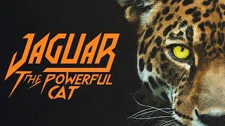 Jaguar Documentary The Most Powerful Cat in the Americas And Why Its Disappearing